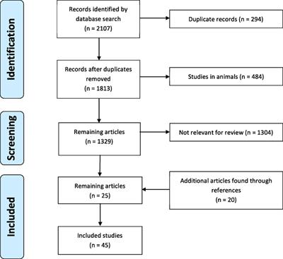 The Immunomodulatory Effects of <mark class="highlighted">Macrolides</mark>—A Systematic Review of the Underlying Mechanisms